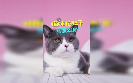 乌龟假死状态？乌龟几岁下蛋
