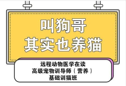 猫咪睡觉时把身体蜷成团