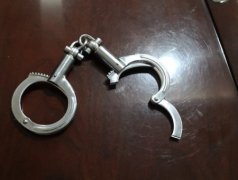 宁夏银川程鹏连环杀人案纪实