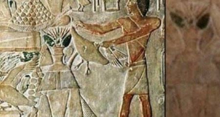 利用现代先进技术 揭露埃及木乃伊的神秘面纱 研究