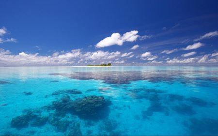 河北首富是谁？
