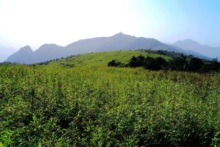 空山洞景区
