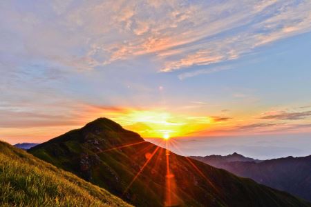 先去圆明园再去颐和园游玩顺序（圆明园里逛一逛）