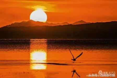 驴友是驴友到底是怎样的一群人？旅游谐音词