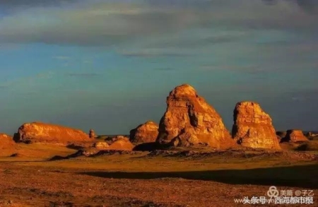 竹林小清新景点 让野生景点告别野蛮生长