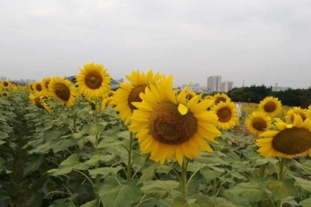 西安附近大峡谷冰瀑（西安最近的一座冰瀑）