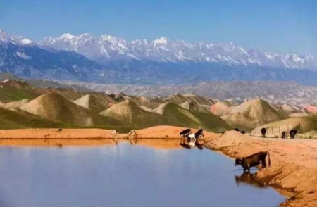 澳门自由行必须去的三个地方？澳门旅游九个必打卡机位及攻略
