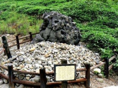 世界上最大的狮子，开普狮体型如同大象体重重达420公斤