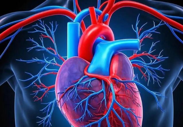 人在临死前的最后一刻会感受到痛苦吗?