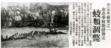 有龙吗？我统计了千年来30余起坠龙事件 得出一个乐观的结论