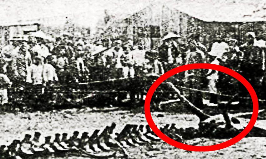 松花江并未真正出现黑龙，所谓“坠龙事件”目前缺乏科学依据