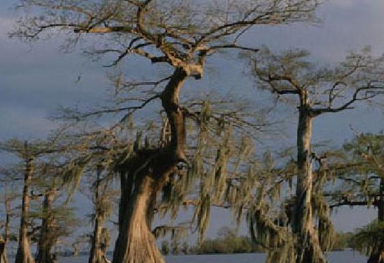 中医男性性功能问题,中医辨证治疗男性早泄