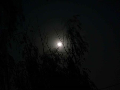 到底有多少威胁性的小行星？情况很复杂！