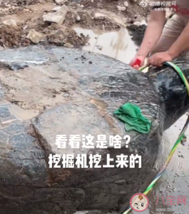 河南一村庄修路挖出大石龟 石龟在古代象征着什么