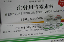 注射用青霉素钠使用说明书
