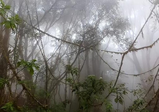 四川瓦屋山迷魂凼与湖北神农架未解之谜