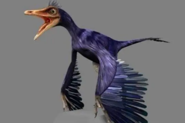 十大飞行恐龙