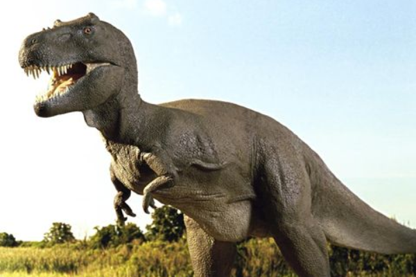 什么恐龙最厉害？