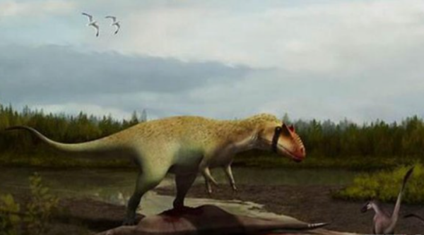 恐龙战斗力排名前20名