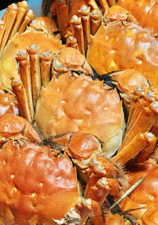 大闸蟹壳上有针眼是怎么回事？