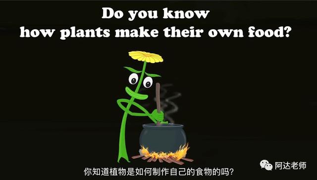 轻松学少儿编程 一分钟学习少儿编程系列-光合作用2