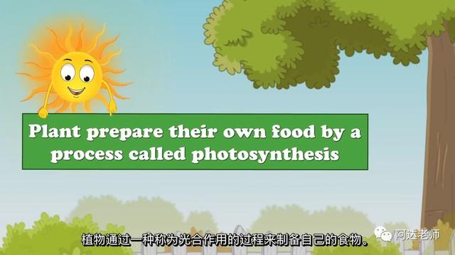 轻松学少儿编程 一分钟学习少儿编程系列-光合作用3