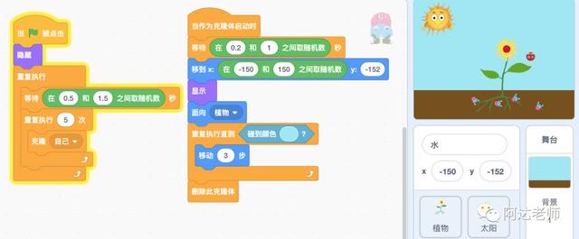 轻松学少儿编程 一分钟学习少儿编程系列-光合作用8