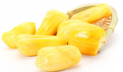 菠萝蜜核的功效与作用、禁忌和食用方法