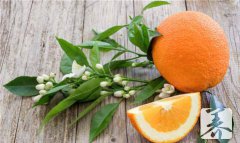 咽炎能吃橙子吗？