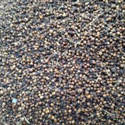 水翁花泡水喝的功效​水翁花可以经常饮吗？