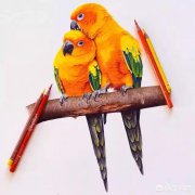 挽回男友后该做什么做什么挽回一个人