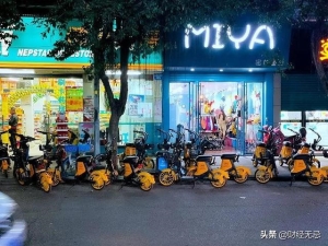 共享单车行业的兴衰(出行领域的潜在肥肉)(2)