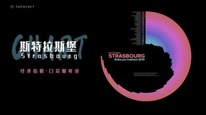 如何做ppt的柱状图：104页PPT环形柱状图表(10)