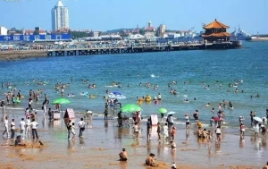 机票比火车票便宜：机票比火车便宜200多(18)