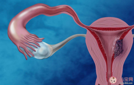 试管婴儿技术发展到哪一步了 在做试管婴儿前如何调理身体