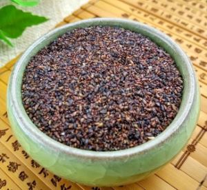 玉米须加车前草泡茶有什功效 车前玉米须猪肚汤4
