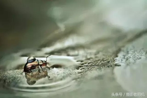 焦距光圈拍摄技巧 拍照时焦距怎么调8