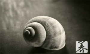 醉泥螺哪些部位不能吃