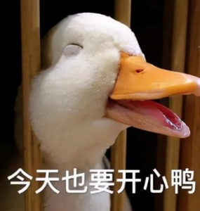 大曲线和前夫哥哥离婚故事 大曲线离婚的后续瓜来了(7)