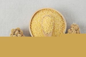 怎么让虎皮鹦鹉更亲近你 如何让虎皮鹦鹉信任你(7)