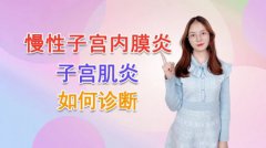 正确诊断和识别子宫内膜炎和子宫肌炎