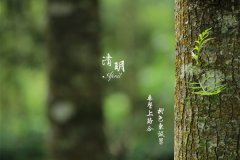 清明节可以提前一个月去上坟吗？清明节上坟可以提前多少天