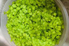 榆钱处理干净？榆钱要焯水吗