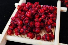 五味子可以和枸杞一起泡水喝吗？五味子和菟丝子能当茶喝吗？