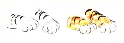 猫的四种画法教学 猫的基本画法与步骤(12)