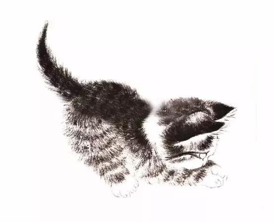 猫的四种画法教学 猫的基本画法与步骤(21)