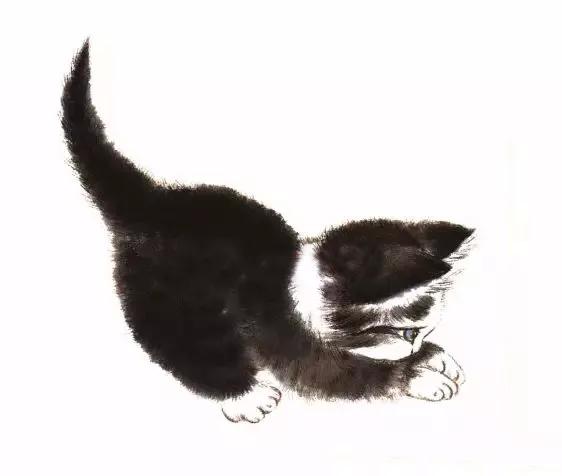猫的四种画法教学 猫的基本画法与步骤(22)
