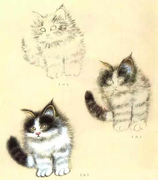 猫的四种画法教学 猫的基本画法与步骤(27)