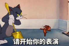 网络用语cpu网络用语ky是什么意思