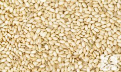 红米是粗粮吗？